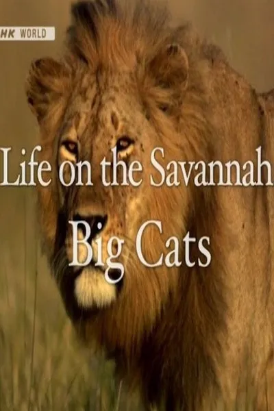 Life on the Savannah: Big Cats