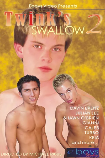 Twink's Swallow 2