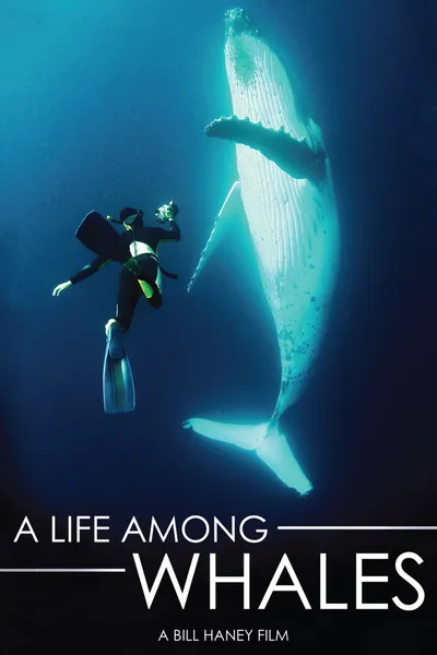 A Life Among Whales