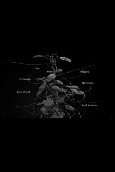 I See Infinite Distance Between Any Point and Another