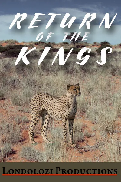 The Return of the Kings