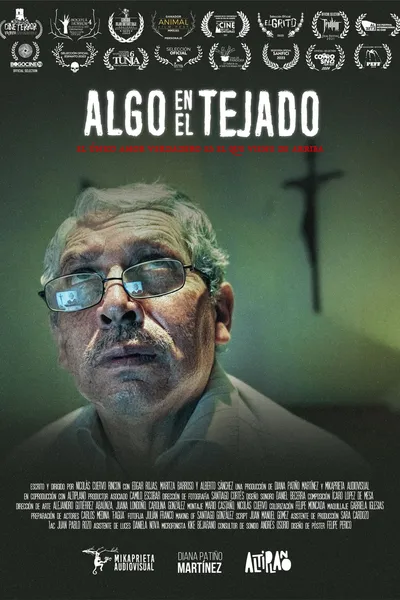 Something on the roof