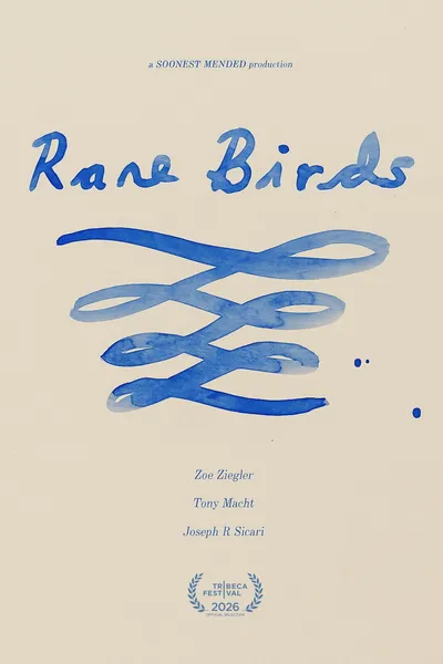 Rare Birds