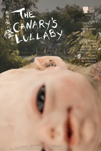 The Canary's Lullaby