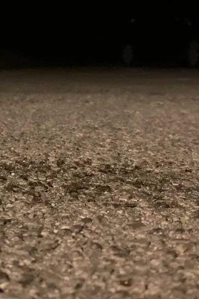 Snails Steadily Stroll the Street 2: Diligent Dirt-Dwellers Dash (Snails Steadily Stroll Lenin Nightcore Remix)