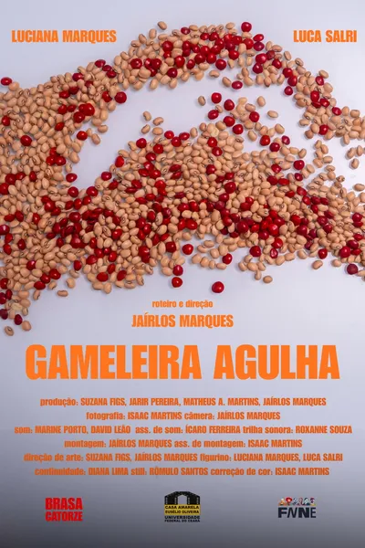Gameleira Agulha