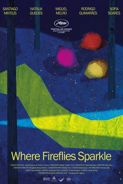 Where Fireflies Sparkle