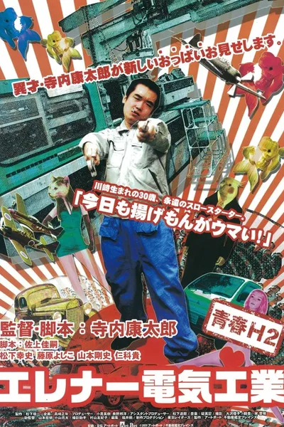 Elena Electric Industry