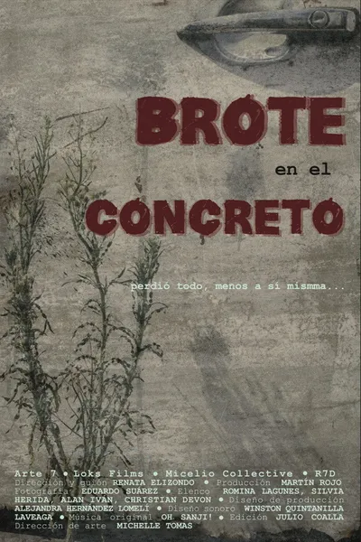Brote en el concreto