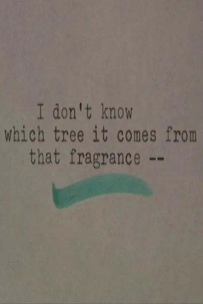 I Don't Know Which Tree It Comes From that Fragrance