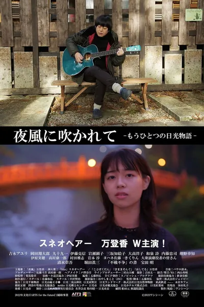 夜風に吹かれて もうひとつの日光物語
