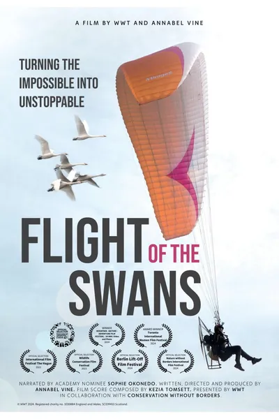 Flight of the Swans
