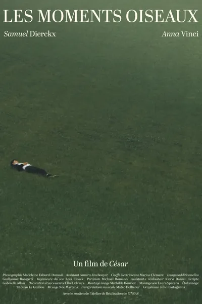 Les Moments Oiseaux