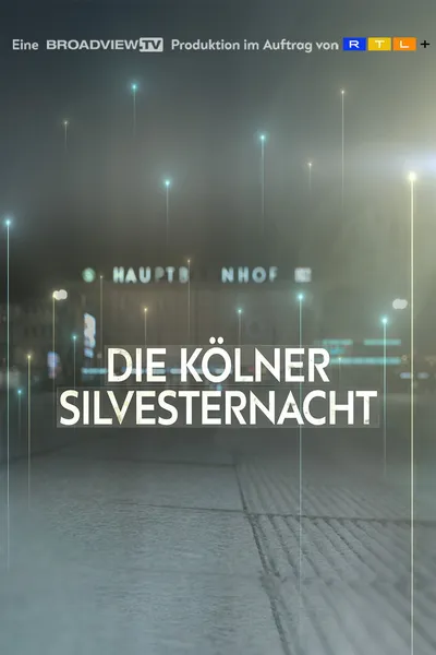 New Year's Eve in Cologne - The Consequences of one Night
