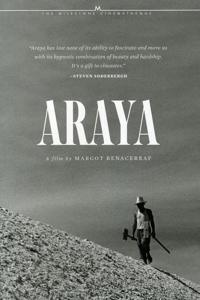Araya