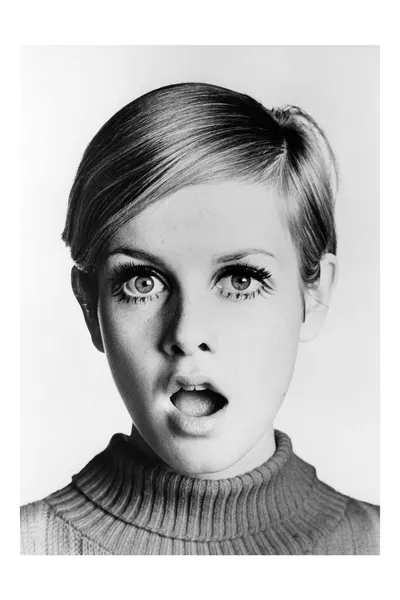 Go Go Go Said the Bird