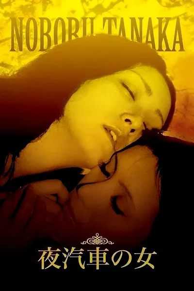 Woman on the Night Train