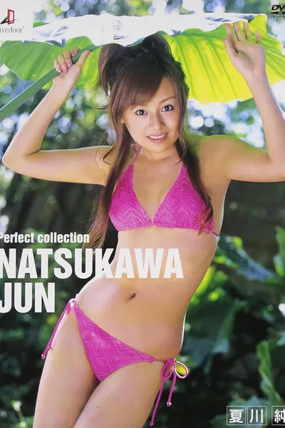 夏川純 Perfect collection