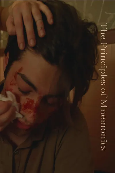 The Prinicples of Mnemonics