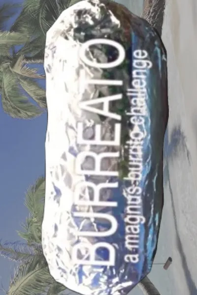 BURREATO: a magnus burrito challenge