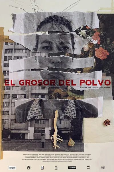 El Grosor del Polvo