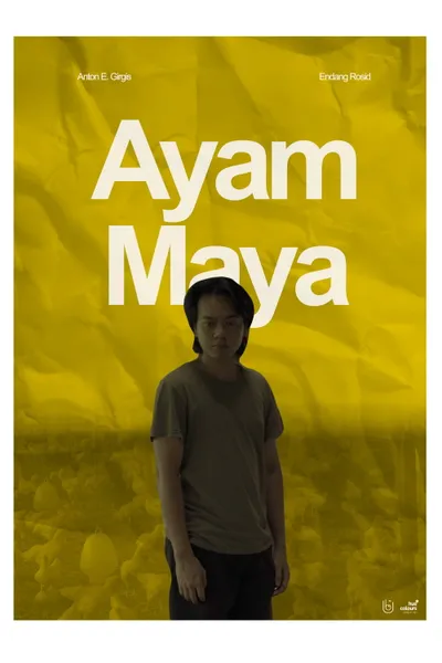 The Chicken Who isn't There