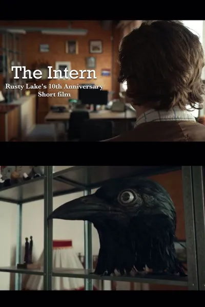 The Intern
