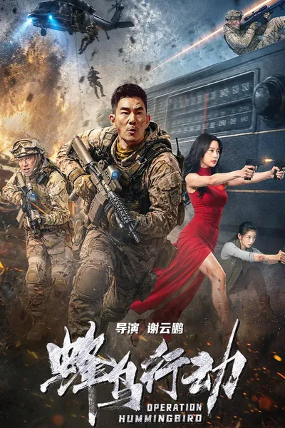 Operation Hummingbird