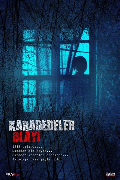 The Karadedeler Incident