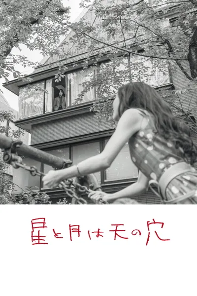 The Stars and the Moon are Holes in the Sky