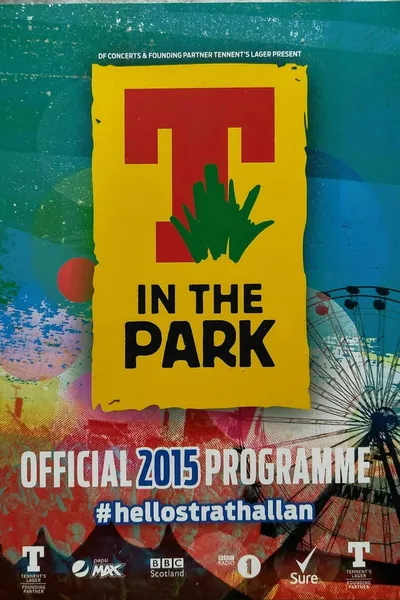 Avicii live in The Park