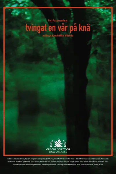 Tvingat en vår på knä