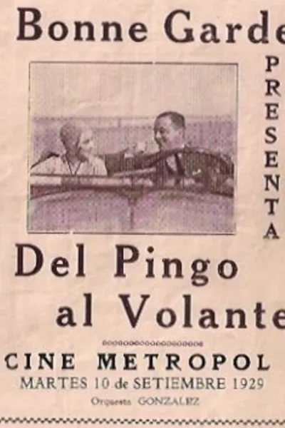 Del pingo al volante