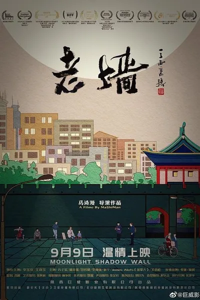 Moonlight Shadow Wall