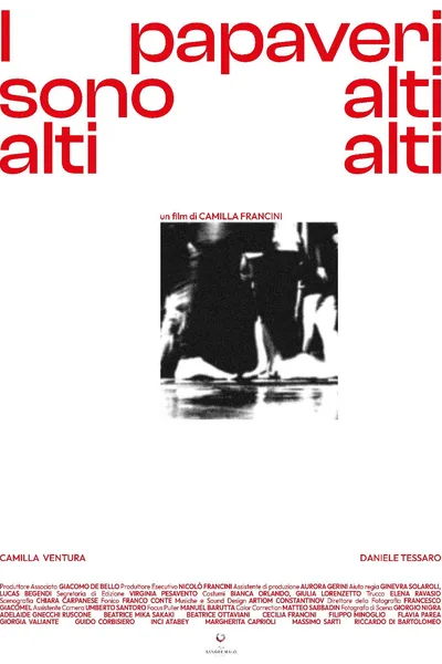 I Papaveri Sono Alti Alti Alti
