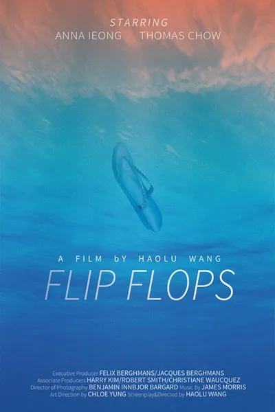 Flip Flops