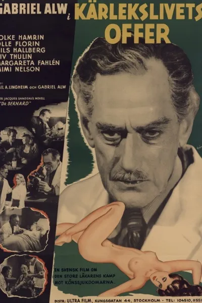 Kärlekslivets offer