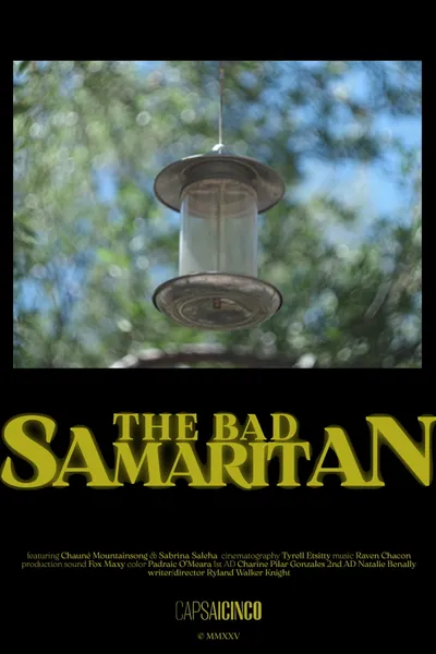 The Bad Samaritan