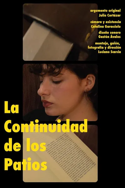 La Continuidad de los Patios