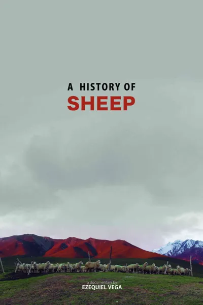 A History Of Sheep