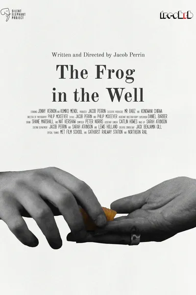The Frog in The Well