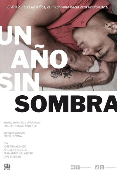 A Year Without Shadow