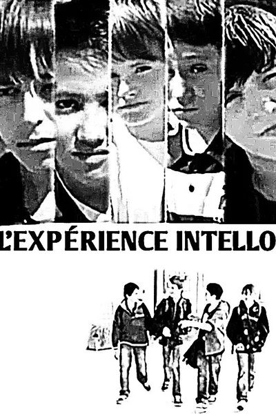 L'expérience Intello