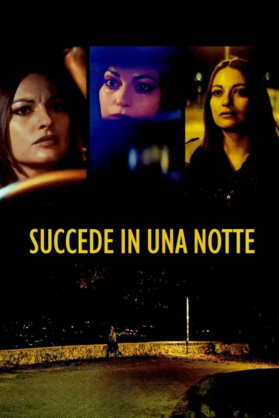 Succede in una notte