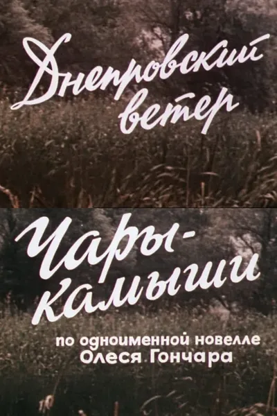 The Dnipro Wind. Enchanted Reeds