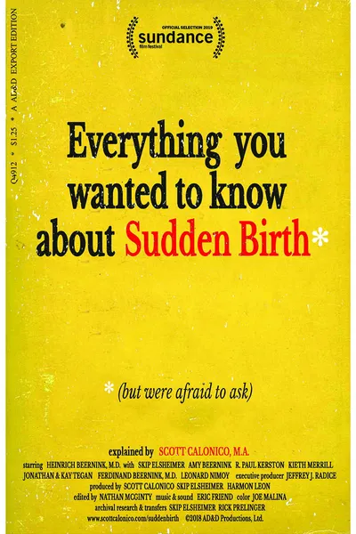 Everything You Wanted to Know About Sudden Birth (but were afraid to ask)