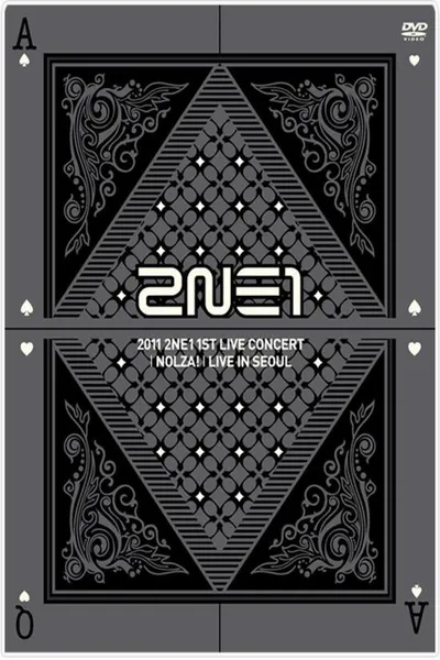 2NE1: 1st Live Concert NOLZA