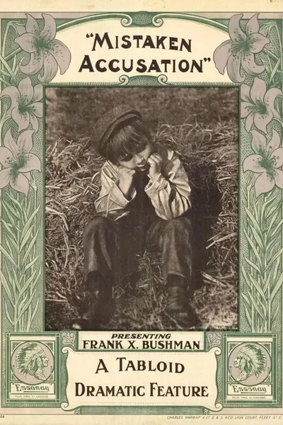 A Mistaken Accusation