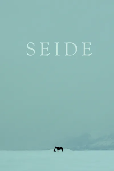 Seide