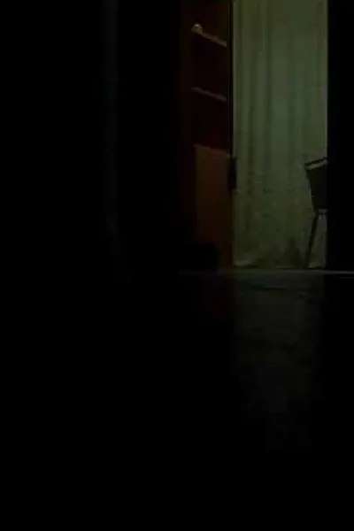 -Pursuit1.: Lui è grigio e deve nascondersi